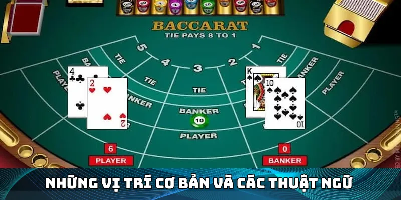 Các vị trí và thuật ngữ quan trọng
