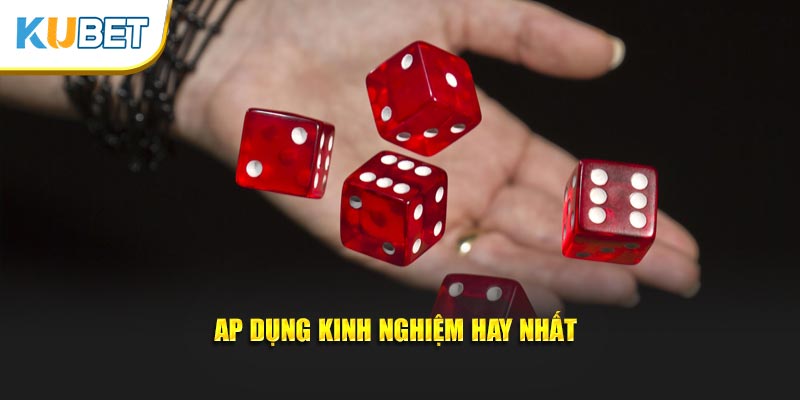 Áp dụng kinh nghiệm hay nhất