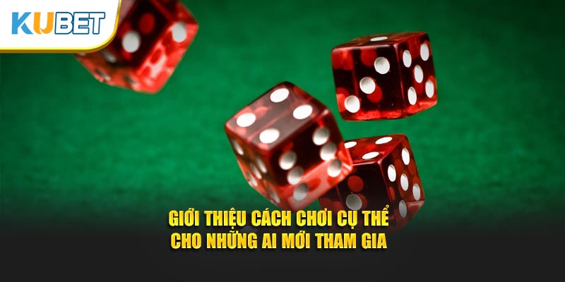 Giới thiệu cách chơi cụ thể cho những ai mới tham gia