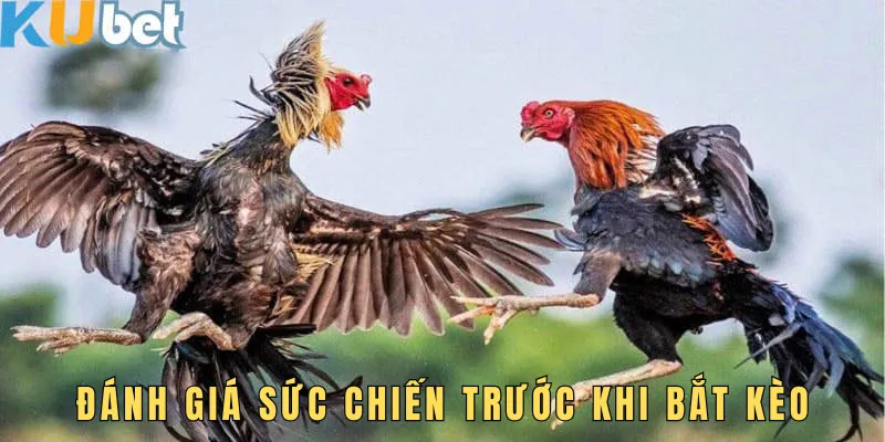 Đánh giá sức chiến trước khi bắt kèo